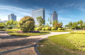 戶外外照明解決方案